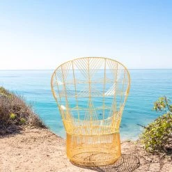 Bend Peacock Lounge Chair Modern Living