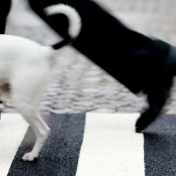 Pappelina Bob Black & Vanilla Runner Rug 16 Pappelina Bob Black & Vanilla Runner Rug