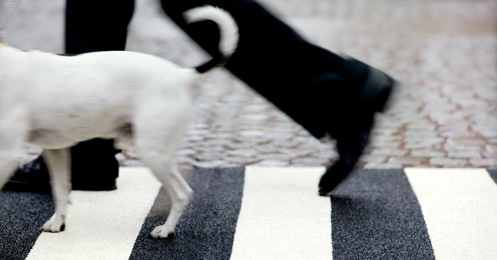 Pappelina Bob Black & Vanilla Runner Rug 4 Pappelina Bob Black & Vanilla Runner Rug