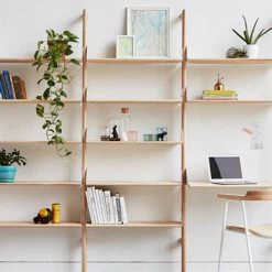 Gus Branch Shelf With Brackets Unit