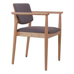 B&T Dion Armchair Modern Living