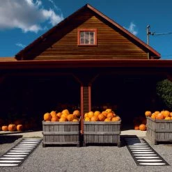 Pappelina Ella Black & Vanilla Runner Rug