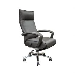 Lafer Gaga Executive Recliner Modern Living