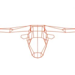 Bend Long Horn Accents