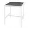 Mamagreen Allux HPL Bar Table
