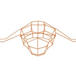 Bend Accents Papa Buffalo