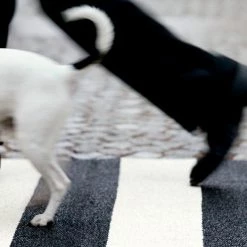 Pappelina Bob Black & Vanilla Rug Rugs