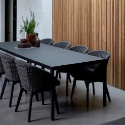 Cane-Line Peacock Indoor Dining Chair With Black Teak Legs Modern Dining