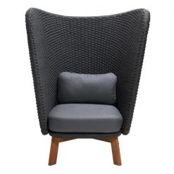 Cane-Line Peacock Wing Highback Chair With Teak Legs