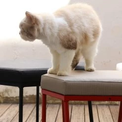 Mamagreen Polygon M Upholstery Stool