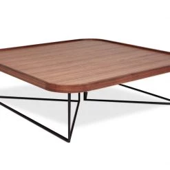 Gus Porter Coffee Table Square Gus Modern