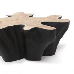 Harbour Outdoor Pure Teak Star Root Coffee Table