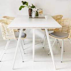 Cane-Line Spin Indoor Dining Chair