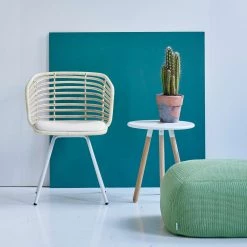 Cane-Line Spin Indoor Dining Chair