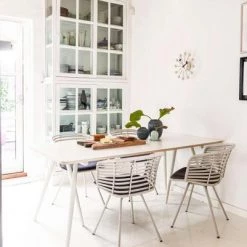 Cane-Line Spin Indoor Dining Chair