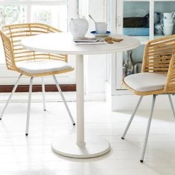 Cane-Line Spin Indoor Dining Chair