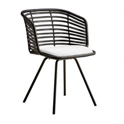 Cane-Line Spin Indoor Dining Chair