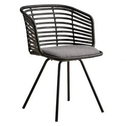 Cane-Line Spin Indoor Dining Chair