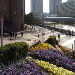 Louis Poulsen Toldbod 6 Inch Outdoor Bollard Light 18 Louis Poulsen Toldbod 6 Inch Outdoor Bollard Light