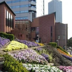 Louis Poulsen Toldbod 6 Inch Outdoor Bollard Light 19 Louis Poulsen Toldbod 6 Inch Outdoor Bollard Light