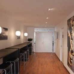 Louis Poulsen VL45 Indoor Radiohus Pendant Light Modern Lighting