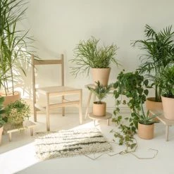 Sun At Six Wing Stand Modern Dining