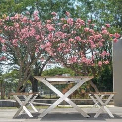 Mamagreen X-Leg Recycled Teak Table With Stainless Steel