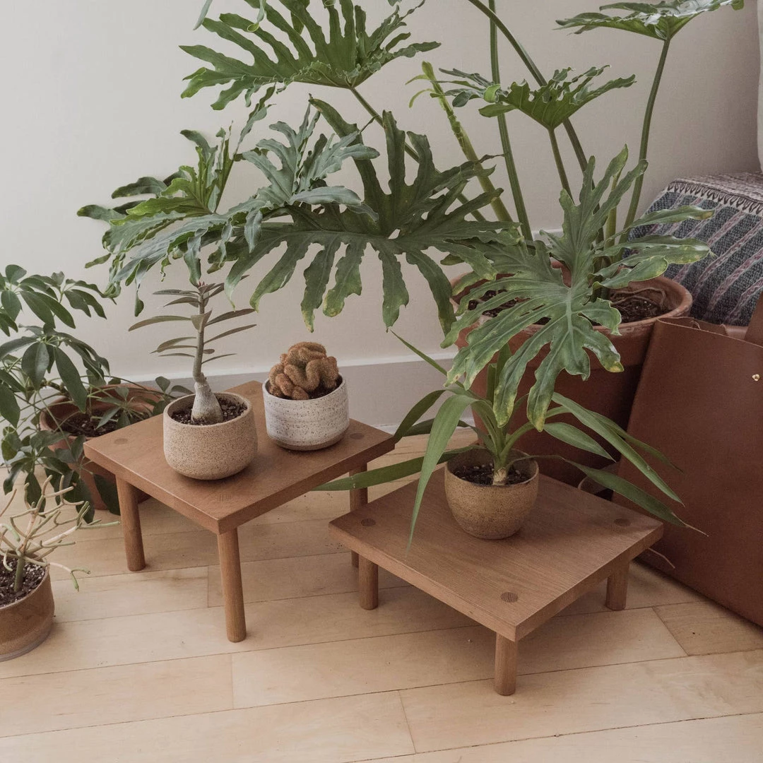 Sun At Six Yucca Stand/Shelf/Desk 3 Sun At Six Yucca Stand/Shelf/Desk