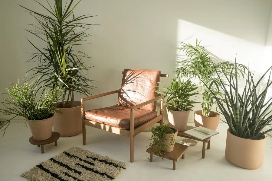 Sun At Six Yucca Stand/Shelf/Desk 7 Sun At Six Yucca Stand/Shelf/Desk